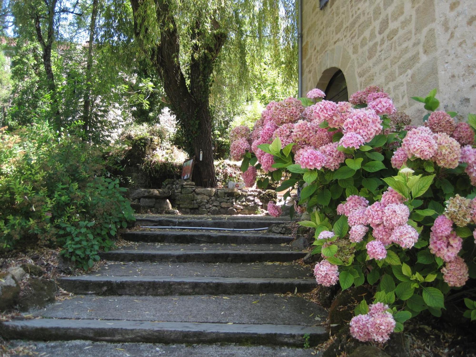 Hotel Restaurant Le Murier De Viels - Grand Figeac Causse-et-Diege エクステリア 写真